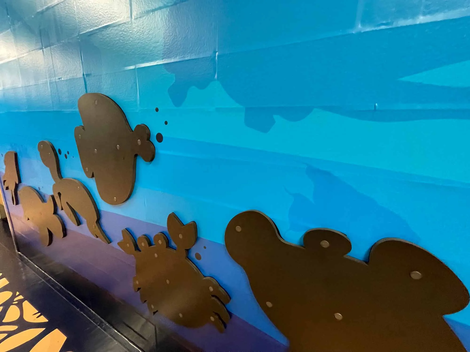 magnetic silhouettes for a shape matching game using sea creature shapes