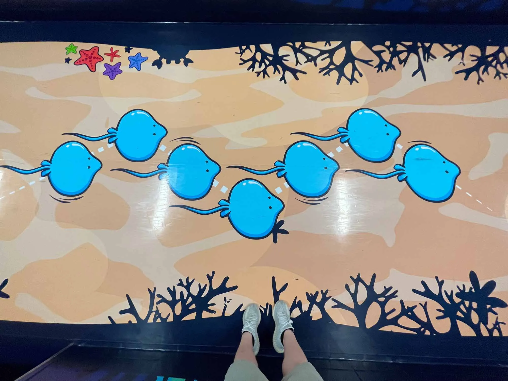 PS 50 sensory hallway